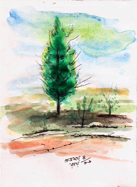 line-and-wash-tree-sketch